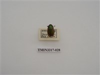 藏品(黃豔金龜)的圖片